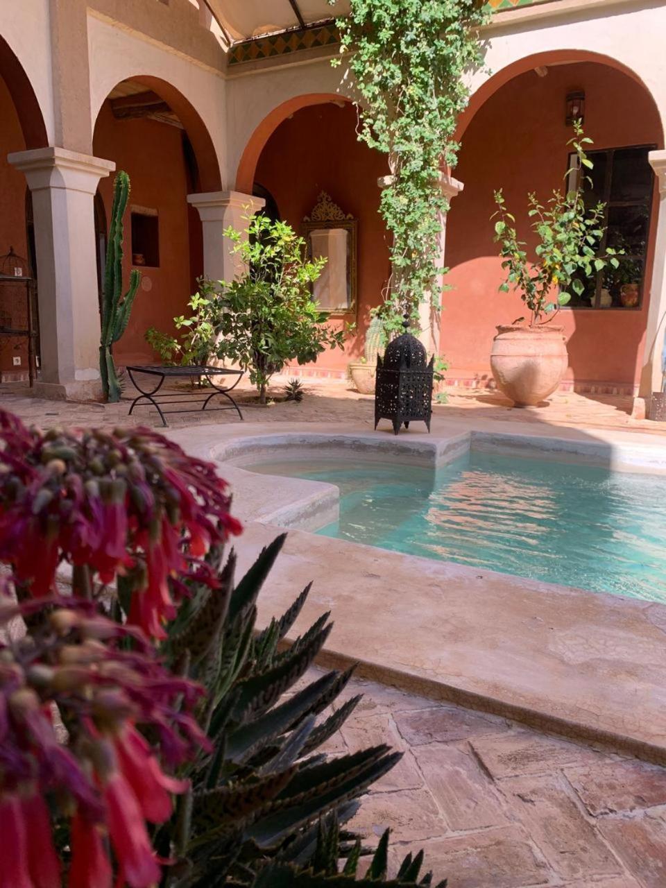Riad Chant D'Etoiles Tadighoust El Hara Exterior foto